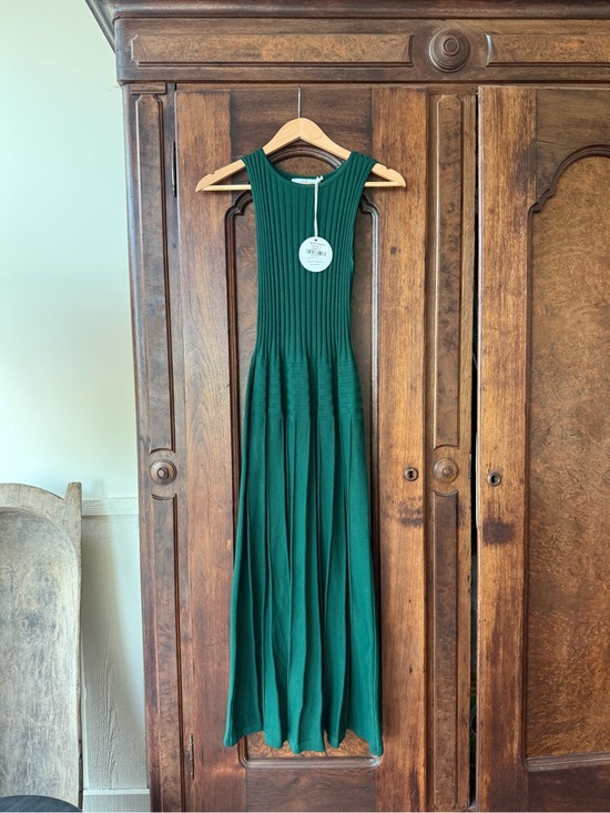 Petal & Pup Dresses & Skirts - NWT Petal & Pup Emerald Green Ribbed Knit Maxi Dress
